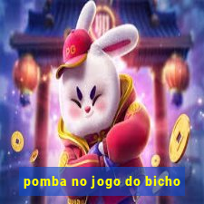 pomba no jogo do bicho