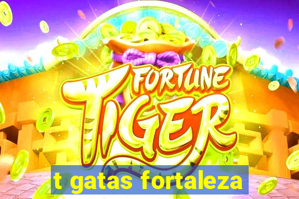 t gatas fortaleza