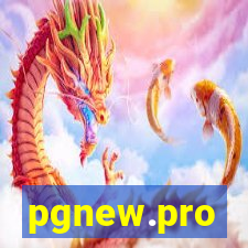 pgnew.pro