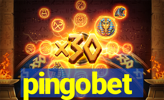 pingobet