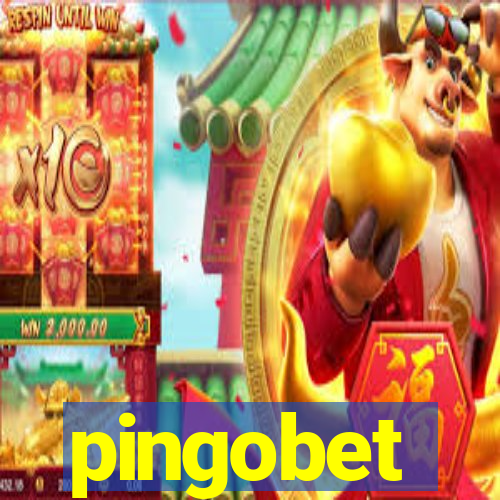 pingobet